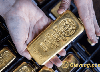 Tin tức quỹ ETF vàng: Các nhà đầu tư nên xem xét ETF đào vàng 4 Tin tức về quỹ ETF vàng