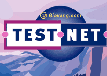 Tìm hiểu về Testnet