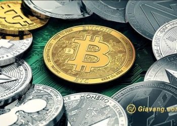 TGE là gì? Tìm hiểu về quy trình hoạt động vốn của TGE