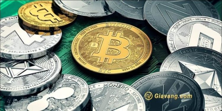 TGE là gì? Tìm hiểu về quy trình hoạt động vốn của TGE 1 TGE là gì? Tìm hiểu về quy trình hoạt động vốn của TGE