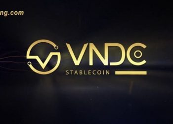 VNDC là gì? Sàn VNDC có lừa đảo không?