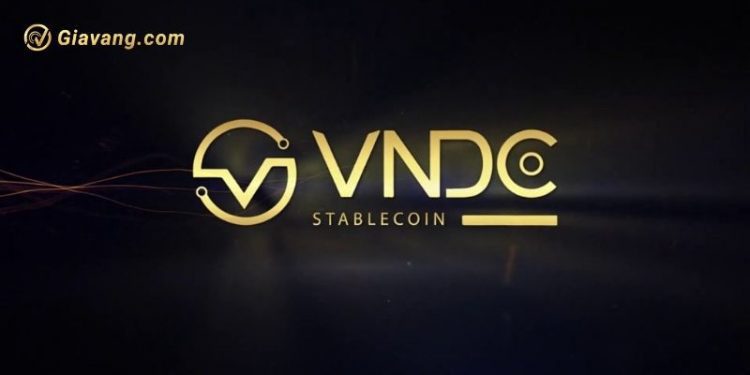 VNDC là gì? Sàn VNDC có lừa đảo không? 1 VNDC là gì? Sàn VNDC có lừa đảo không?