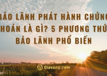 Bảo lãnh phát hành chứng khoán là gì? Các phương thức bảo lãnh phổ biến