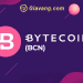 Bytecoin là gì? Kiến thức chi tiết về đồng tiền điện tử BCN 9 Tìm hiểu về BCN coin
