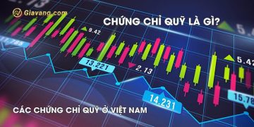 Chứng chỉ quỹ là gì? Nắm bắt nhanh cách tính lãi suất chứng chỉ quỹ? 7 Chứng chỉ quỹ là gì? Nắm bắt nhanh cách tính lãi suất chứng chỉ quỹ?