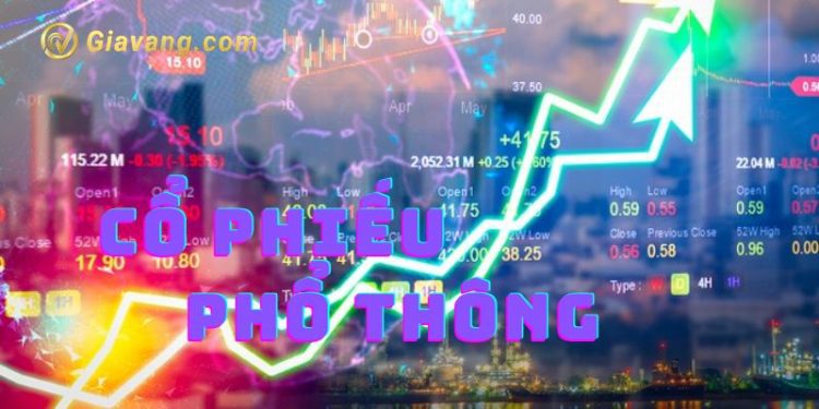 Cổ phiếu phổ thông là gì? Người sở hữu cổ phiếu phổ thông có những quyền lợi nào?