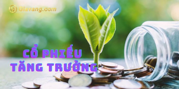 Cổ phiếu tăng trưởng là gì? Ưu nhược điểm cổ phiếu tăng trưởng 1 Cổ phiếu tăng trưởng là gì? Ưu nhược điểm cổ phiếu tăng trưởng
