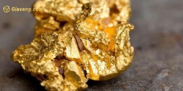 Giá vàng trong nước hôm nay 16/6: Giá vàng SJC quay đầu tăng