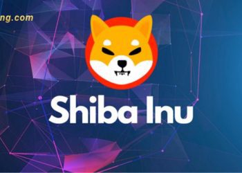 SHIBA INU Coin là gì? Cách giao dịch SHIBA INU Coin hiệu quả