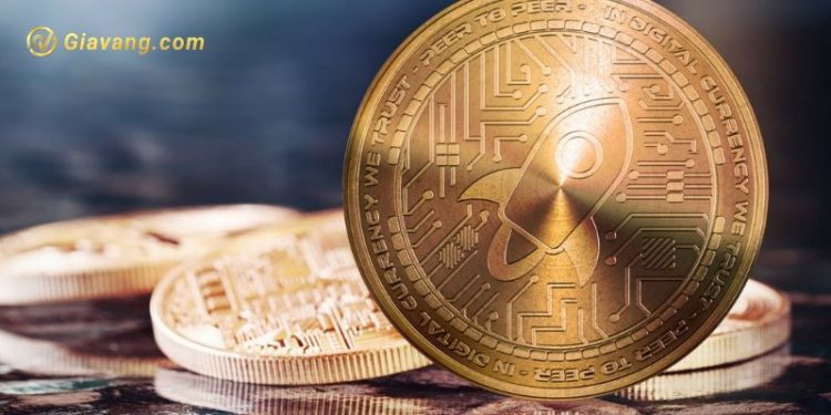 Stellar Coin là gì? Dự án Stellar Coin có gì nổi bật?  1 Stellar Coin là gì? Dự án Stellar Coin có gì nổi bật?