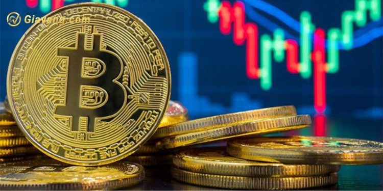 Thị trường Crypto hôm nay 15/6: Hơn 1,22 tỷ USD bị thanh lý sau khi BTC tuột dốc không phanh