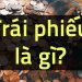 Trái phiếu là gì? Nên đầu tư trái phiếu hay cổ phiếu? 6 Trái phiếu là gì? Nên đầu tư trái phiếu hay cổ phiếu?