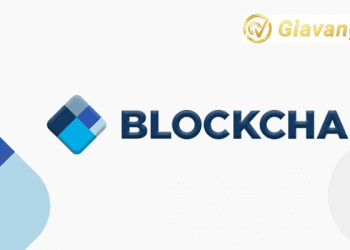 Ví Blockchain là gì? Cách sử dụng ví Blockchain