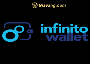 Hướng dẫn sử dụng Infinito Wallet