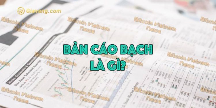 Những kiến thức hay về bản cáo bạch 