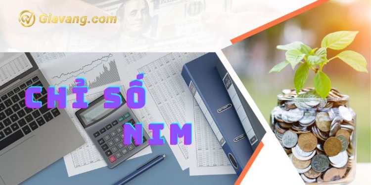 Chỉ số NIM là gì? Ý nghĩa và yếu tố ảnh hưởng biên lãi ròng 1 Chỉ số NIM là gì? Ý nghĩa và yếu tố ảnh hưởng biên lãi ròng