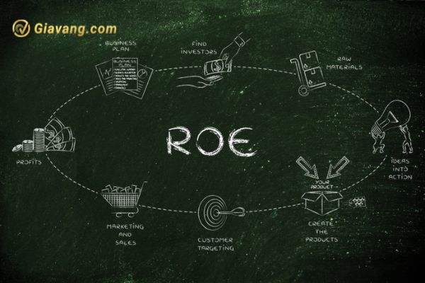 Chỉ số ROE là gì? Hướng dẫn xác định chỉ số ROE chuẩn xác