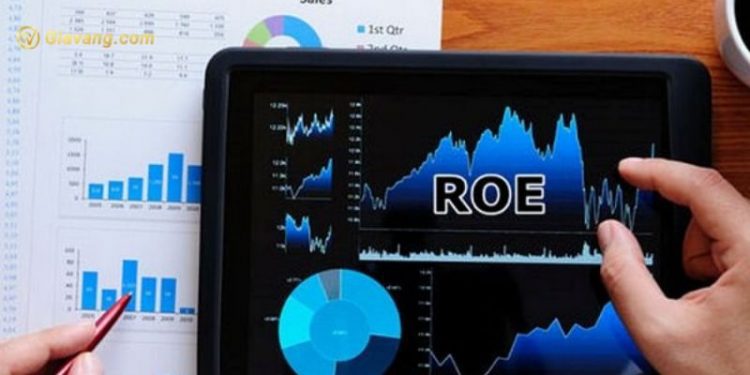 Chỉ số ROE là gì? Hướng dẫn xác định chỉ số ROE chuẩn xác