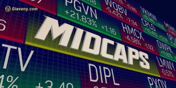Chỉ số VNMidcap là gì? Hướng dẫn tính chỉ số VnMidcap  5 Chỉ số VNMidcap là gì? Hướng dẫn tính chỉ số VnMidcap