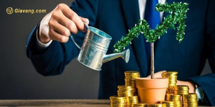 Kinh nghiệm đầu tư chứng khoán dài hạn hiệu quả nhất