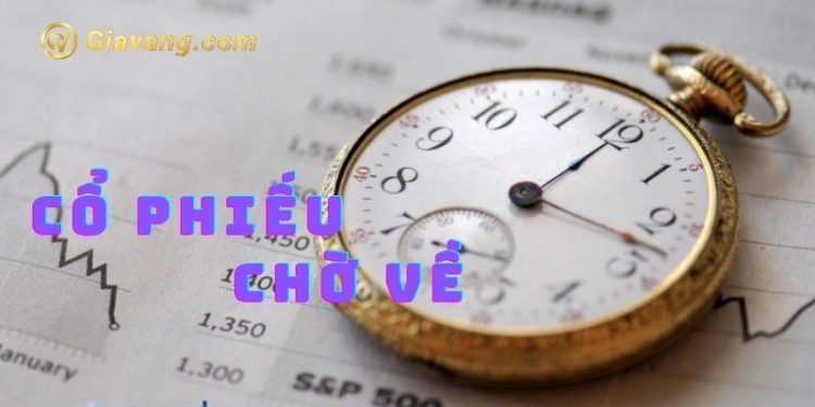 Cổ phiếu chờ về là gì? Cổ phiếu chờ về có bán được không? 1 Cổ phiếu chờ về là gì? Cổ phiếu chờ về có bán được không?