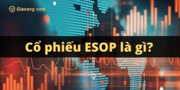 Cổ phiếu ESOP là gì? Rủi ro và lợi ích của cổ phiếu ESOP 8 Cổ phiếu ESOP là gì? Rủi ro và lợi ích của cổ phiếu ESOP