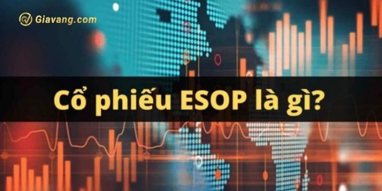 Cổ phiếu ESOP là gì? Rủi ro và lợi ích của cổ phiếu ESOP 1 Cổ phiếu ESOP là gì? Rủi ro và lợi ích của cổ phiếu ESOP