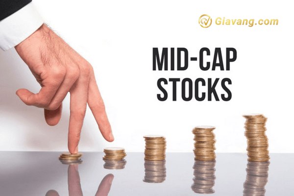 Cổ phiếu Midcap 2