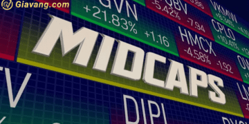Tìm hiểu về cổ phiếu Midcap