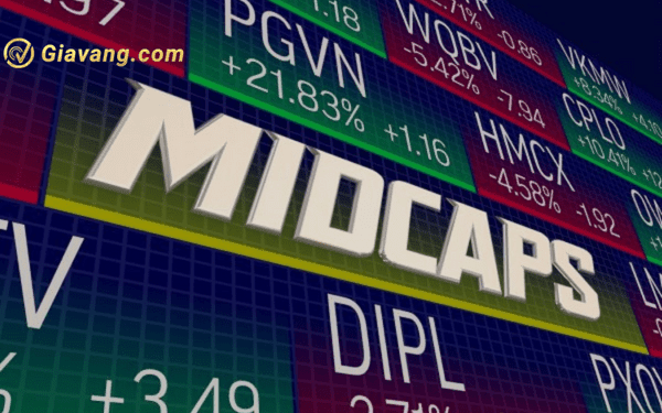 Tìm hiểu về cổ phiếu Midcap