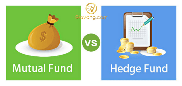 Hedge Fund là gì 6