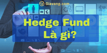 Hedge Fund là gì? Bật mí 6 điều kiện tham gia quỹ phòng hộ 6 Hedge Fund là gì? Rủi ro khi tham gia quỹ phòng hộ