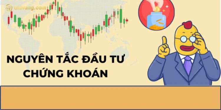 Lợi nhuận khủng nếu tuân theo nguyên tắc đầu tư chứng khoán sau 1 Nắm bắt nhanh nguyên tắc đầu tư chứng khoán sinh lời