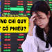 Nhà đầu tư F0 nên chọn chứng chỉ quỹ hay cổ phiếu