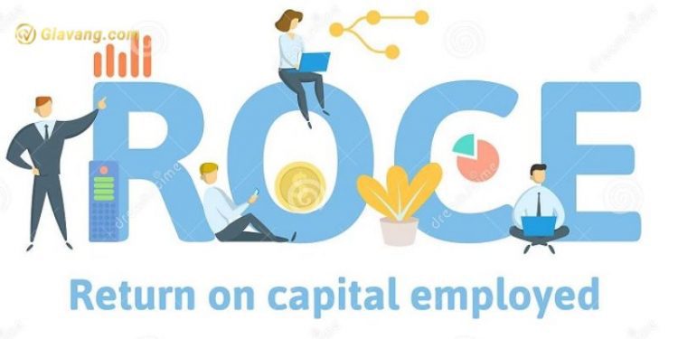Roce là gì? Roce có gì nổi bật? 