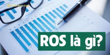 ROS là gì? Hướng dẫn đọc và tính chỉ ROS chuẩn xác 7 ROS là gì? Hướng dẫn đọc và tính chỉ ROS chuẩn xác