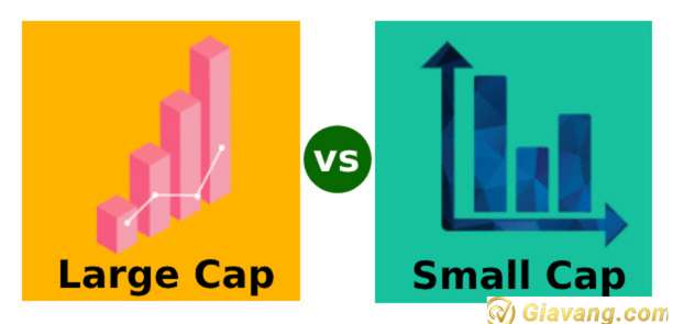 Sự khác nhau giữa cổ phiếu Large cap và cổ phiếu Small cap