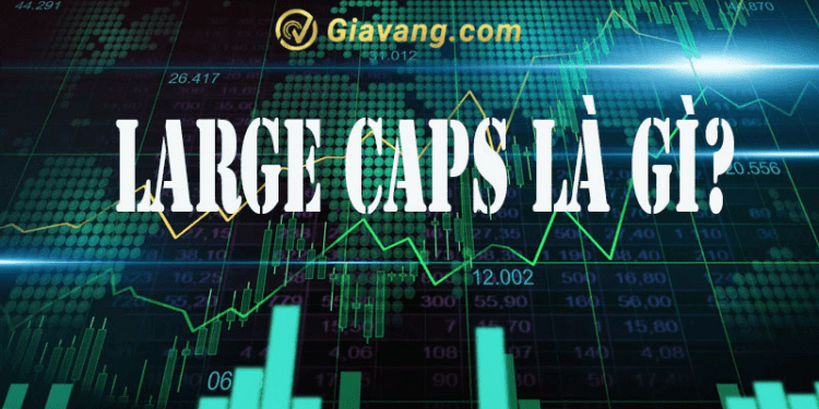 Tìm hiểu về cổ phiếu Large cap