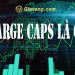 Tìm hiểu về cổ phiếu Large cap