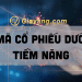 Top mã cổ phiếu dưới 10K đáng đầu tư năm 2022