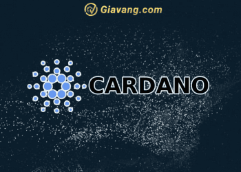 Ví Cardano là gì? Các ví Cardano phổ biến hiện nay
