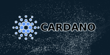 Ví Cardano là gì? Các ví Cardano phổ biến hiện nay 4 Ví Cardano là gì? Các ví Cardano phổ biến hiện nay