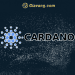 Ví Cardano là gì? Các ví Cardano phổ biến hiện nay 10 Ví Cardano là gì? Các ví Cardano phổ biến hiện nay