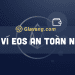 Ví EOS là gì? Top ví EOS an toàn