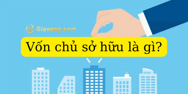 Vốn chủ sở hữu là gì? Bản chất và vai trò với doanh nghiệp 1 Vốn chủ sở hữu là gì? Bản chất và vai trò với doanh nghiệp