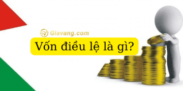 Vốn điều lệ là gì? Bản chất và vai trò với doanh nghiệp 2 Vốn điều lệ là gì? Bản chất và vai trò với doanh nghiệp