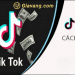 cách kiếm tiền trên tiktok