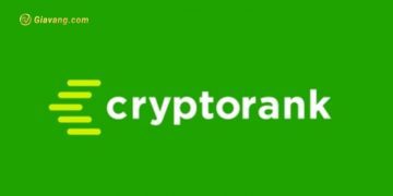 Cryptorank là gì? Hướng dẫn sử dụng Cryptorank chi tiết nhất 6 Cryptorank là gì? Hướng dẫn sử dụng Cryptorank chi tiết nhất