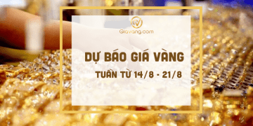 Dự báo giá vàng