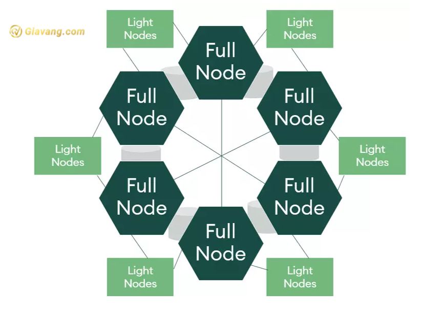 Node là gì? Cách hoạt động của Node trong Blockchain